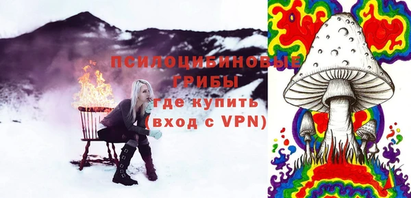 мдпв Нягань