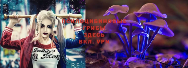 мескалин Няндома