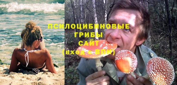 мескалин Няндома