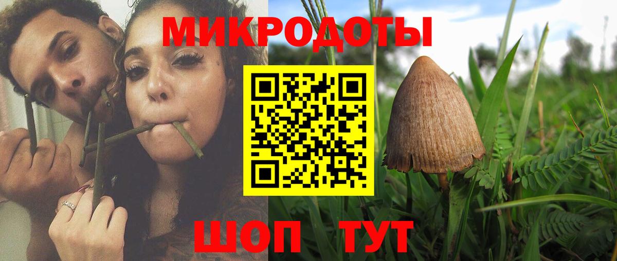 Псилоцибиновые грибы мицелий Сегежа